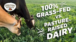 Is 100% Grassfed milk different than Pasture Raised milk? | Ask Organic Valley