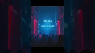 FULIZA (AUDIO)  - QUINCY X NDACHE