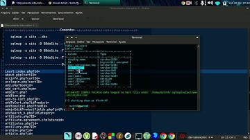 [SQLMAP] - Invadindo sites com a falha SQL Injection