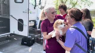 Young-Williams Veterinary Care