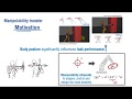 Manipulability learning tracking and transfer motivation and summary of the approach