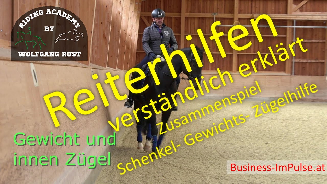 F58 Reiterhilfen: Schenkel-, Kreuz- & Zügelhilfen am Pferd beim Reiten erklärt. Reiten lernen!