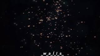 Fireflies,gorillaz(lyric)