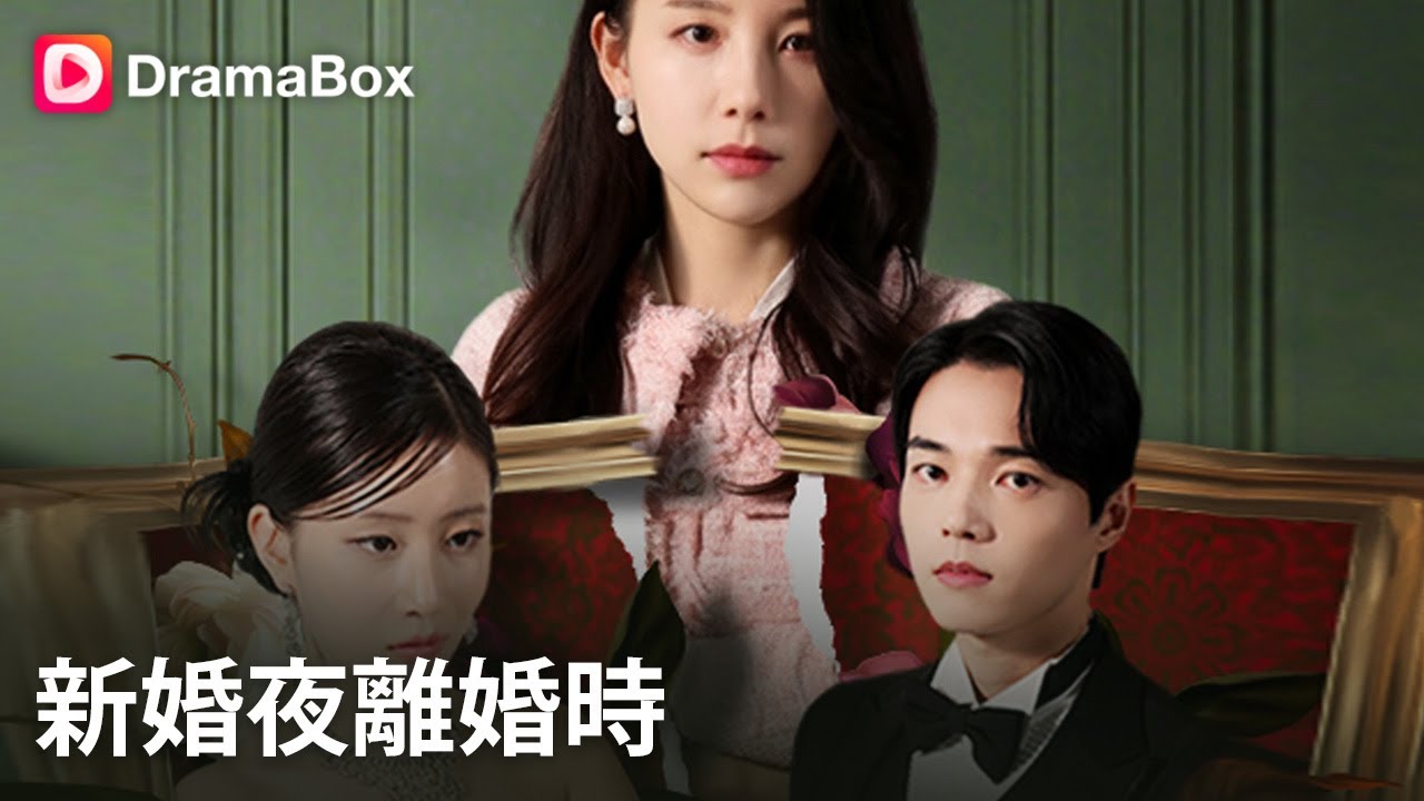 新婚夜離婚：豪門姐姐的復仇