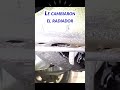 Toyota Avalon Fuga de fluido de transmisión #Toyota #transmision #fuga #leaks #tips
