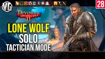 Divinity Original Sin 2: Lone Wolf Walkthrough Part 28 - The Historian