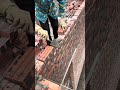 construction Amazing