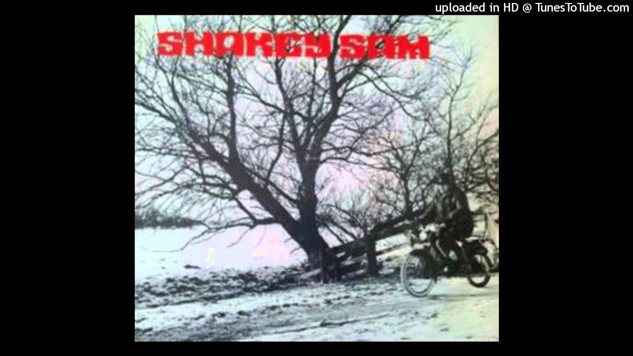 ⁣Shakey Sam - Big Car Blues