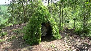 Full Video: Building Warm Survival Shelter, 3 Days Bushcreaft Hut | Bushwalking in the woods, Bamboo