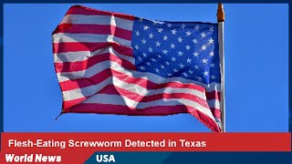Flesh-Eating Screwworm Detected in Texas