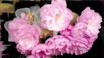 Debugger - Loving Of The Unknown