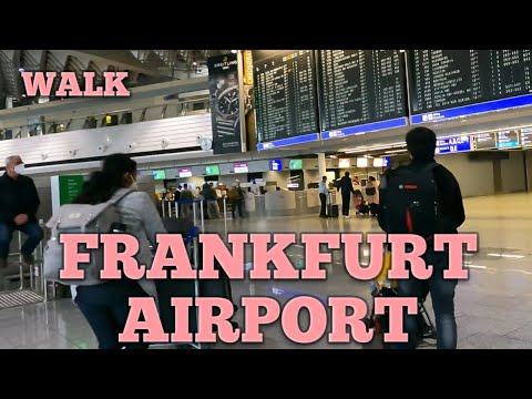 New Update Frankfurt Airport Terminal 1 to Lufthansa Senator Lounge to Gate B48 to Qatar Airways Aircraft