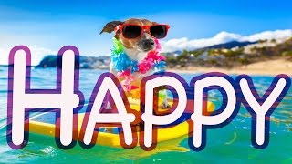 Video thumbnail of "Happy Ukulele Royalty Free Music For Youtube Videos"