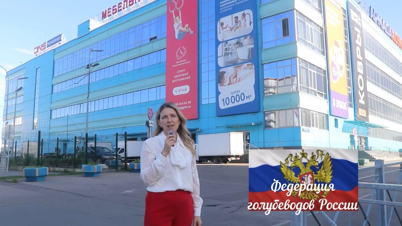 Международная выставка голубей в Москве 15-16 ноября 2025 год..Анонс.