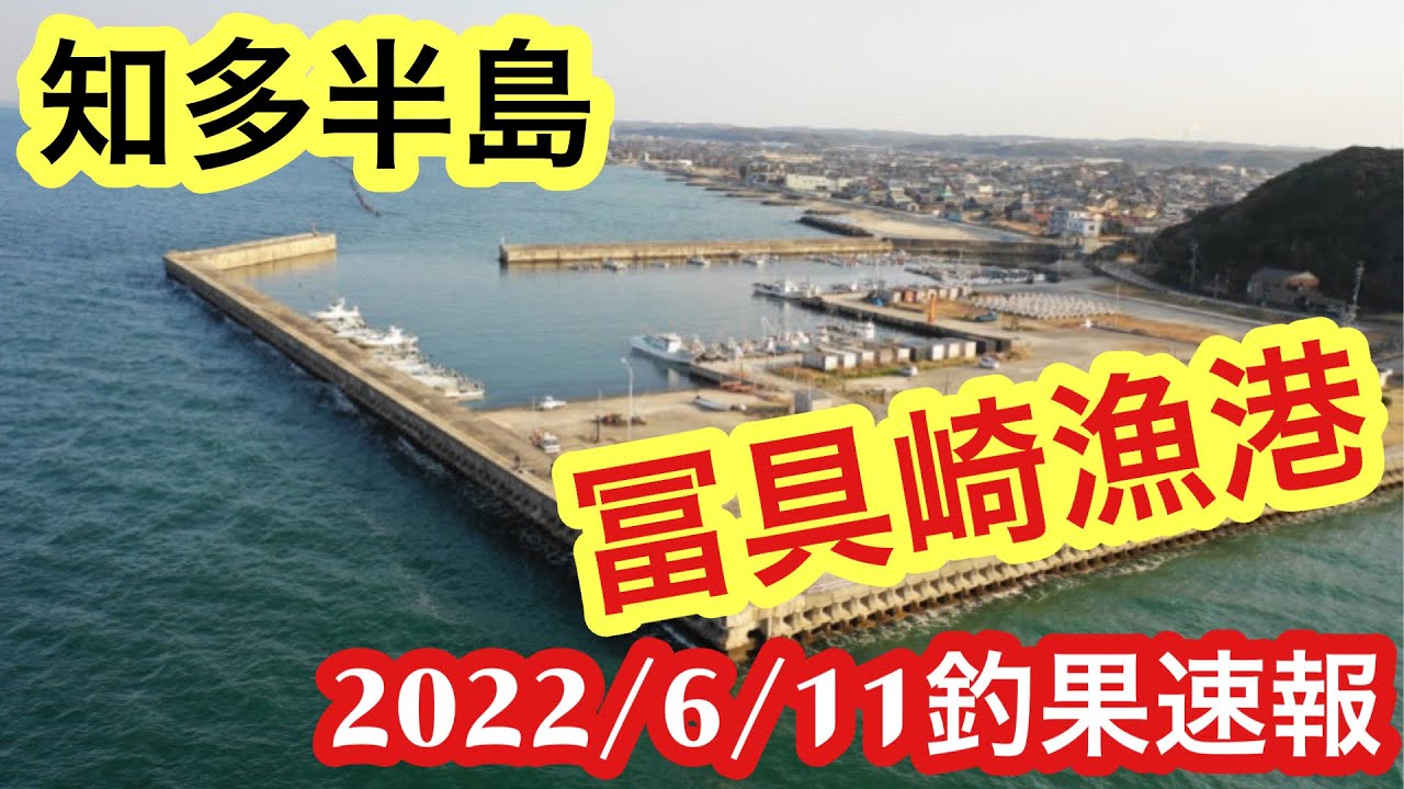 愛知県釣り 知多半島 冨具崎漁港 釣果速報22年6月11日 Youtube