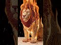 lion on fire #fyp #shorts