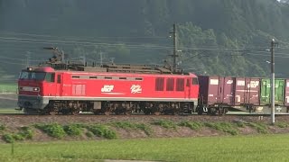 【EF510】【EF81】 北陸本線を走る貨物列車 2015年8月