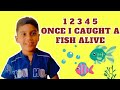 1 2 3 4 5 once i caught a fish alive rhyme  nursery rhymes  pre school rhymes  aayus corner