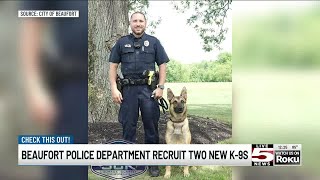 VIDEO: Beaufort Police introduce newest K-9 units