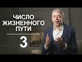 Число жизненного пути 3 | Яркие креативщики или прожигатели жизни? | Нумеролог Андрей Ткаленко