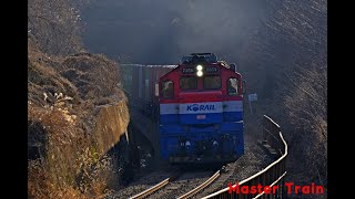부산진발 동해행 컨테이너 화물열차 #3096+DEL 7354호 견인