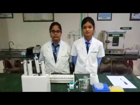 Albumin test by BCG method, performed by paramedical students. - YouTube
