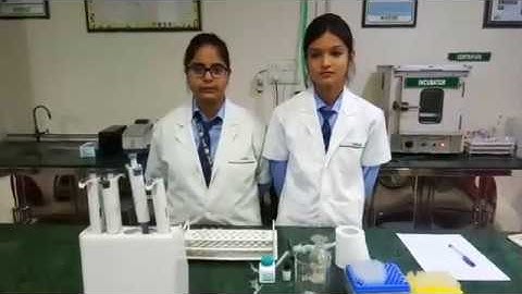 Albumin test by BCG method, performed by paramedical students.