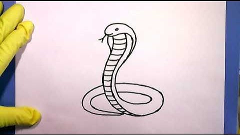 how to draw a Cobra Snake Drawing 🐍 Rattle Easy Animal Black Cape King Shelby Ford Car 2025 #shorts