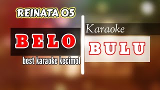 BELO BULU KARAOKE VERSI REINATA 05