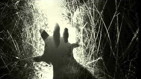 #legalizeMETAmentality.m4v