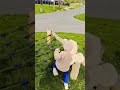نانسي عجرم امورة وحلوة وكتكوته