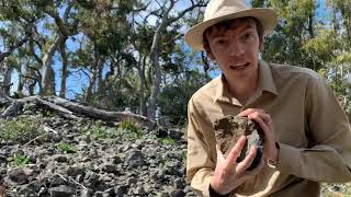 ⛏ George the Geologist - Basalt Xenoliths