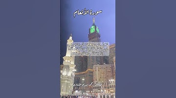 سورة الأنعام ٥٦ #قرآن #قران #quran #اكسبلورر #قرآن_كريم #قرأن #قران_كريم