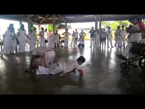 camera iphone 8 plus apk Evento de Capoeira - UFPE BAC 2018.2