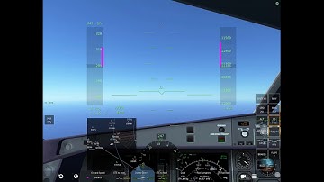 A330 Landing Demonstration