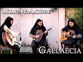 Luar na lubre -  Gallaecia (Mandolina) | Música Celta