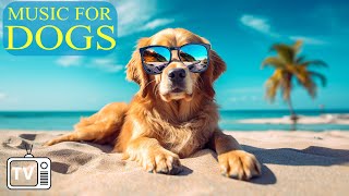 24 Hours of Ultimate Anti Anxiety Music For Dogs! DOG TV - Boredom Busting Videos for Dog with Music