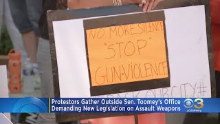 Protesters Gather Outside Sen. Toomey's Office Demanding New Legislation On Assault Weapons