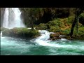 VISUAL AMBIENCE | Forest Waterfall &amp; Stream – Nature Sounds with Birds, Sleep, Relax, Focus 8 Hour