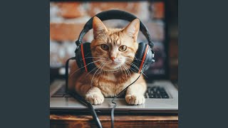 Soft Whisker Echoes