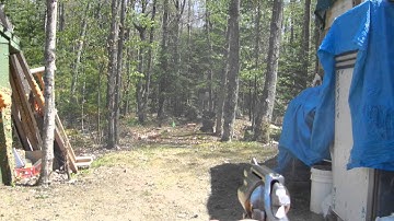 Shooting the S&W Model 60 .38 Special in First Person POV