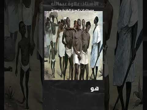 ثلاث 03 مصطلحات وردت في رسالة بولينياك