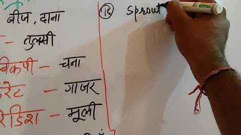 Class 5th EVS  Ch-5 - Let