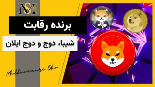 برنده رقابت شیبا، دوج و دوج ایلان | Shiba inu | Dogecoin | Doge Elon Mars