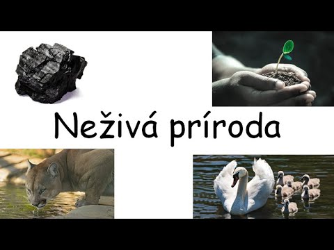 Video: Neživá príroda – čo to je?