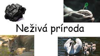 Neživá príroda