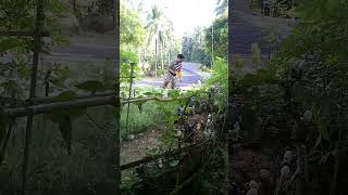 painumin ko na sila #plantitas