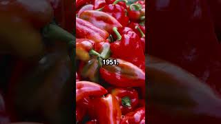 New Mexico USA Travel Business Tech Fact #shorts #travel #short #news #trending #shortvideo #viral