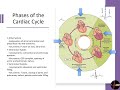 Cardiac cycle explained in under 3 minutes  med madness