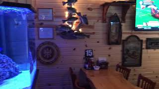 The Original Hog Wild Interior View Video 2019